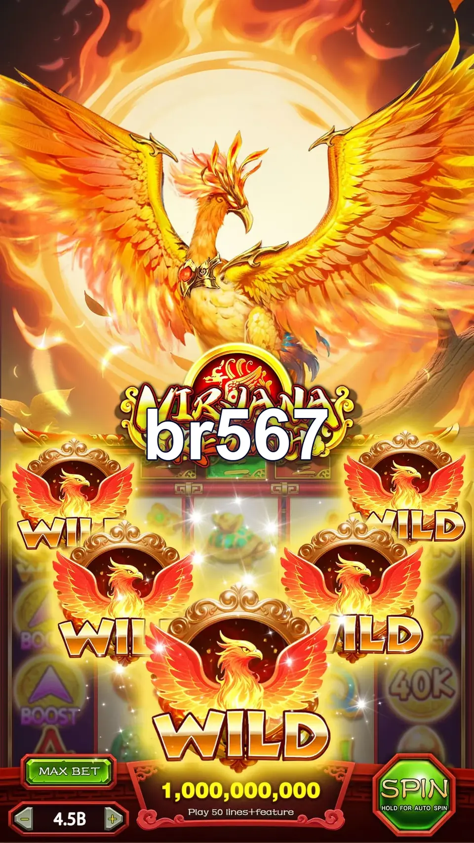 br567 Login
